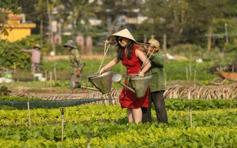 Séjour au Vietnam : culture, paysages et plages paradisiaques